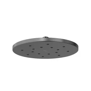 Phoenix LuxeXP Shower Rose 250mm Round Brushed Carbon by PHOENIX, a Shower Heads & Mixers for sale on Style Sourcebook