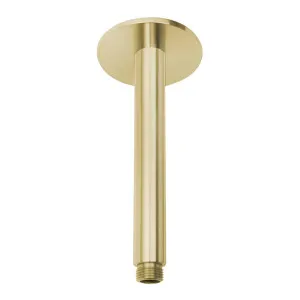 Phoenix Vivid Ceiling Arm 150mm Brushed Gold by PHOENIX, a Shower Heads & Mixers for sale on Style Sourcebook
