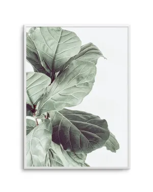 Fiddle Fig III by oliveetoriel.com, a Original Artwork for sale on Style Sourcebook