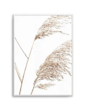 Seagrass I by oliveetoriel.com, a Original Artwork for sale on Style Sourcebook