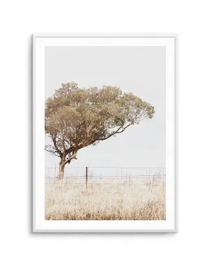 Lost in the Fields by oliveetoriel.com, a Original Artwork for sale on Style Sourcebook