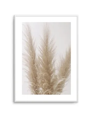 Pampas on Grey II by oliveetoriel.com, a Original Artwork for sale on Style Sourcebook