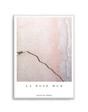 La Rose Mur by oliveetoriel.com, a Original Artwork for sale on Style Sourcebook