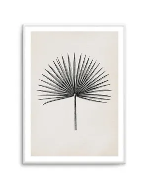 Fan Palm II by oliveetoriel.com, a Prints for sale on Style Sourcebook