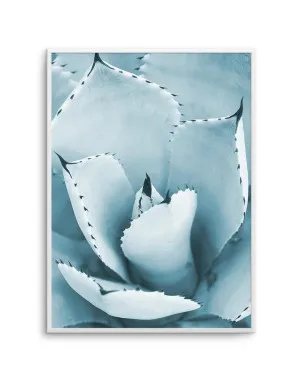 Succulent II | PT by oliveetoriel.com, a Prints for sale on Style Sourcebook