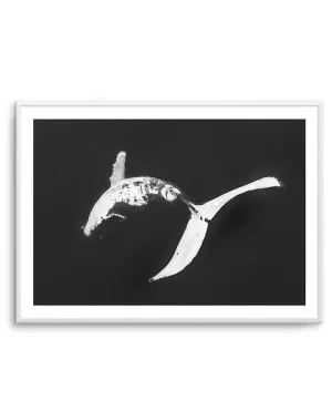 Humpback Whales I by oliveetoriel.com, a Prints for sale on Style Sourcebook