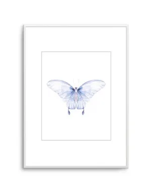 Butterfly I by oliveetoriel.com, a Prints for sale on Style Sourcebook
