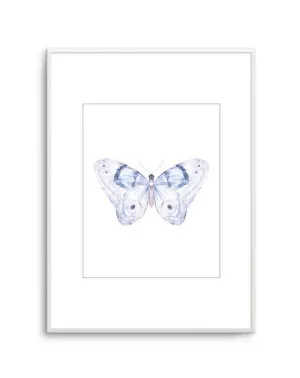Butterfly II by oliveetoriel.com, a Prints for sale on Style Sourcebook