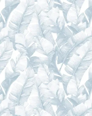 Banana Leaf Palms | Hamptons Blue Wallpaper by oliveetoriel.com, a Wallpaper for sale on Style Sourcebook