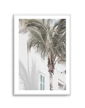 Hamptons Palm by oliveetoriel.com, a Prints for sale on Style Sourcebook