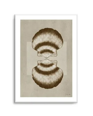 Brown Shells 01 by Julita Elbe by oliveetoriel.com, a Prints for sale on Style Sourcebook