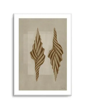 Brown Shells 02 by Julita Elbe by oliveetoriel.com, a Prints for sale on Style Sourcebook