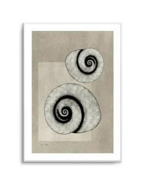 Sea Shells 02 by Julita Elbe by oliveetoriel.com, a Prints for sale on Style Sourcebook