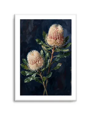 Banksia On Navy Botanicals Study by oliveetoriel.com, a Prints for sale on Style Sourcebook