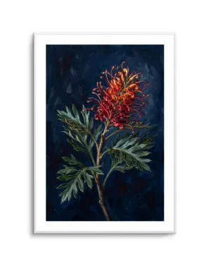 Grevillea On Navy Botanicals Study by oliveetoriel.com, a Prints for sale on Style Sourcebook