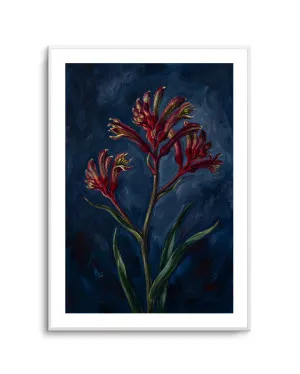 Kangaroo Paw I On Navy Botanicals Study by oliveetoriel.com, a Prints for sale on Style Sourcebook