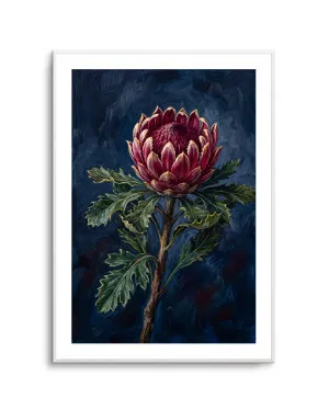 Protea Noir On Navy Botanicals Study by oliveetoriel.com, a Prints for sale on Style Sourcebook