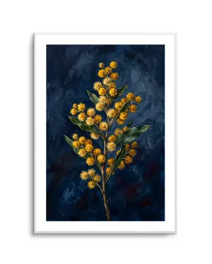 Wattle On Navy Botanicals Study by oliveetoriel.com, a Prints for sale on Style Sourcebook