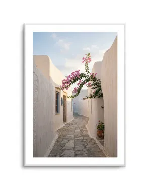 Bougainvillea Alley by oliveetoriel.com, a Prints for sale on Style Sourcebook