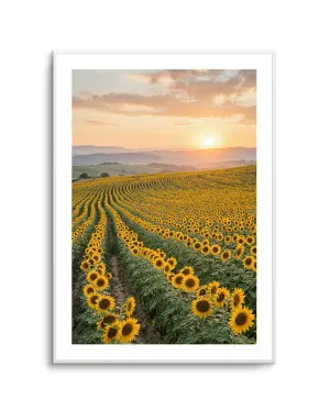 Sunflower Series 02 by oliveetoriel.com, a Prints for sale on Style Sourcebook