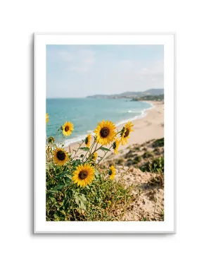 Sunflowers By the Sea 01 by oliveetoriel.com, a Prints for sale on Style Sourcebook