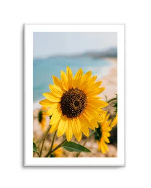 Sunflowers By the Sea 02 by oliveetoriel.com, a Prints for sale on Style Sourcebook