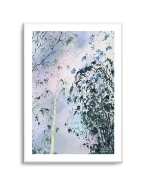 Illumination of Ashgrove Trees by Meredith Howse by oliveetoriel.com, a Prints for sale on Style Sourcebook