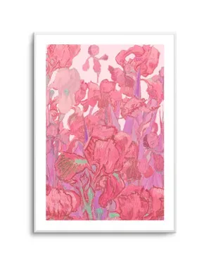 Vibrant Pink Irises by Mathieu Jeuf by oliveetoriel.com, a Prints for sale on Style Sourcebook