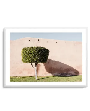 Tree Shadow on Pink Wall by Photolovers by oliveetoriel.com, a Prints for sale on Style Sourcebook