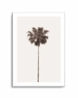 Blurred Palm Tree by oliveetoriel.com, a Prints for sale on Style Sourcebook
