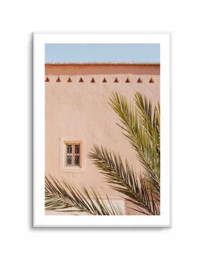 Pink Wall Palm Shadow by Photolovers by oliveetoriel.com, a Prints for sale on Style Sourcebook