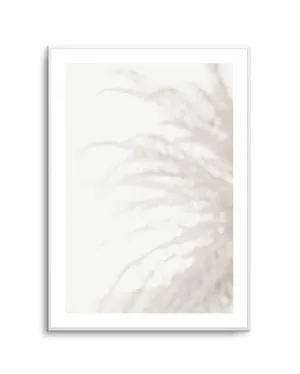 Soft Pampas Light by oliveetoriel.com, a Prints for sale on Style Sourcebook