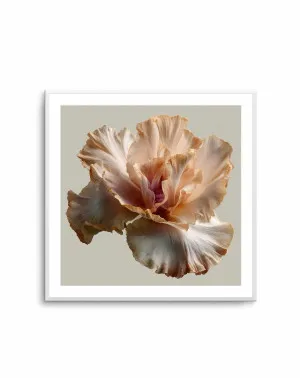 Salt Bloom I by oliveetoriel.com, a Prints for sale on Style Sourcebook