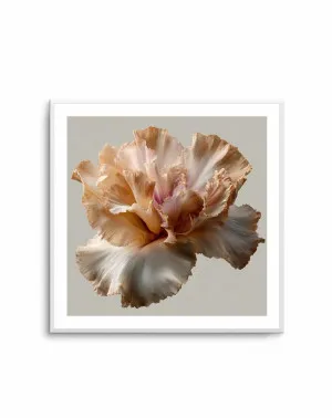 Salt Bloom II by oliveetoriel.com, a Prints for sale on Style Sourcebook
