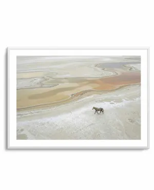 Wild Sands I by oliveetoriel.com, a Prints for sale on Style Sourcebook