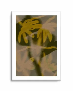 Soft Blossom 4 by Shatha Al Dafai by oliveetoriel.com, a Prints for sale on Style Sourcebook