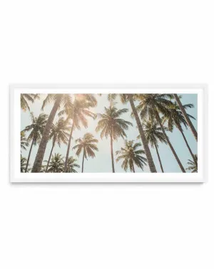Palm Skies by oliveetoriel.com, a Prints for sale on Style Sourcebook