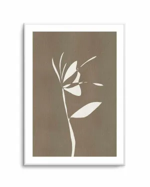 Muted Petals No 6 by Shatha Al Dafai by oliveetoriel.com, a Prints for sale on Style Sourcebook