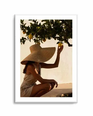 Sunset Lemons by oliveetoriel.com, a Prints for sale on Style Sourcebook