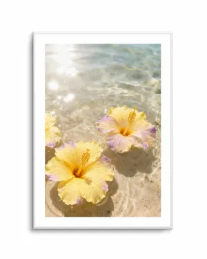 Tidal Blossom by oliveetoriel.com, a Prints for sale on Style Sourcebook
