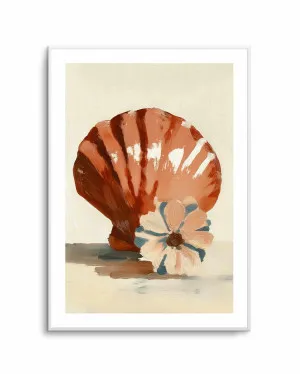 Chocolate Shells II by oliveetoriel.com, a Prints for sale on Style Sourcebook