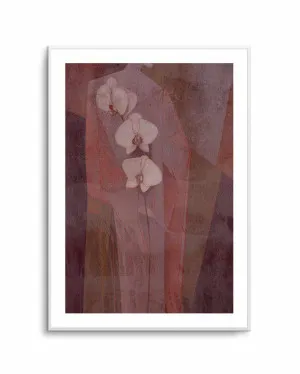 Floral Muse II by oliveetoriel.com, a Prints for sale on Style Sourcebook