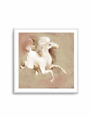 Wild Horse 1 by Marco Marella by oliveetoriel.com, a Prints for sale on Style Sourcebook