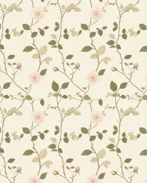 Sweet Cream Rose Wallpaper by oliveetoriel.com, a Wallpaper for sale on Style Sourcebook