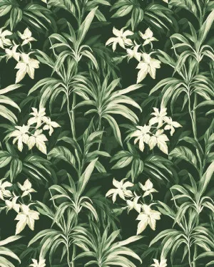 Colonial Botanical Oasis Wallpaper by oliveetoriel.com, a Wallpaper for sale on Style Sourcebook
