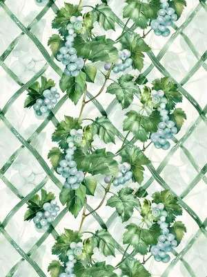 Vineyard Wallpaper by oliveetoriel.com, a Wallpaper for sale on Style Sourcebook