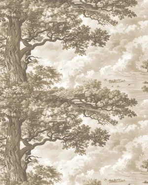 Old Oak Tree in Neutral Wallpaper by oliveetoriel.com, a Wallpaper for sale on Style Sourcebook