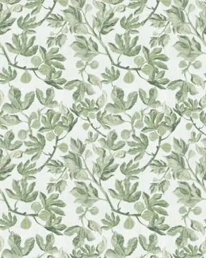 Fig Leaf Luxe Wallpaper by oliveetoriel.com, a Wallpaper for sale on Style Sourcebook