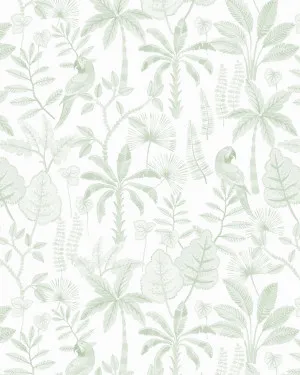 Exotic Oasis in Sage Green Wallpaper by oliveetoriel.com, a Wallpaper for sale on Style Sourcebook