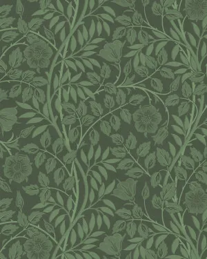 Floral Vines Luxe Dark Green Wallpaper by oliveetoriel.com, a Wallpaper for sale on Style Sourcebook